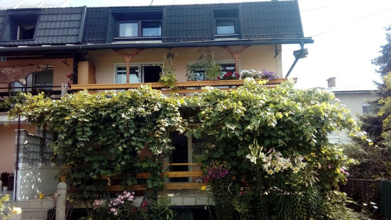Apartma Meta Radovljica Zewnętrze zdjęcie